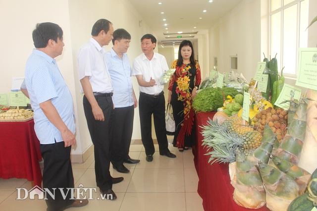vinh phuc: phuc tai nong dan 7x nuoi 600 con bo thu 13 ty dong/nam hinh anh 1