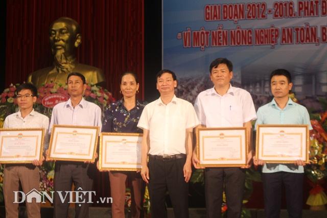 vinh phuc: phuc tai nong dan 7x nuoi 600 con bo thu 13 ty dong/nam hinh anh 5