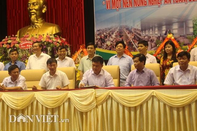 vinh phuc: phuc tai nong dan 7x nuoi 600 con bo thu 13 ty dong/nam hinh anh 6