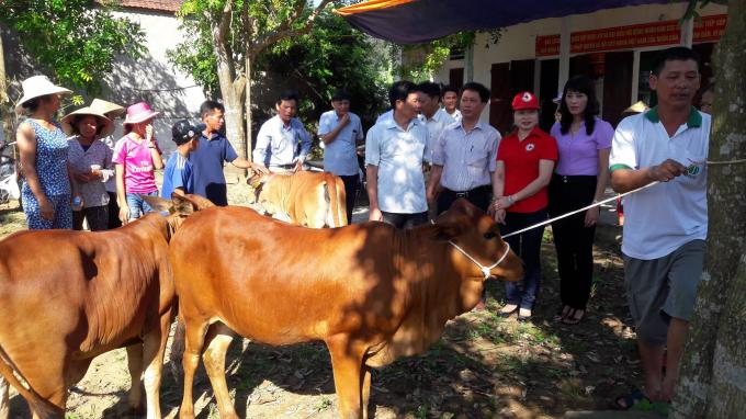"ngan hang bo'' - trao co hoi thoat ngheo ben vung, vuon len lam giau hinh anh 4