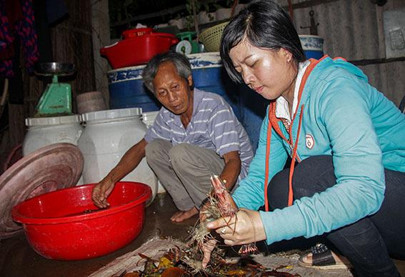 Ngọc Hiển có 9.000ha nuôi tôm sinh thái đạt hiệu quả