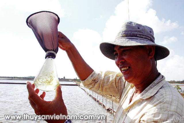 Nuôi Artemia ở Bạc Liêu   Ảnh: Trần Thanh