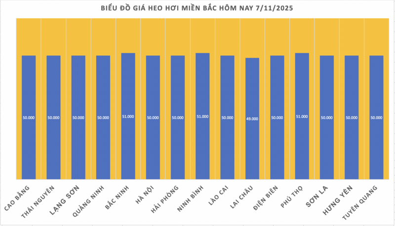 Giá heo hơi hôm nay 7/11/2025: Tiếp tục giảm nhẹ - 1