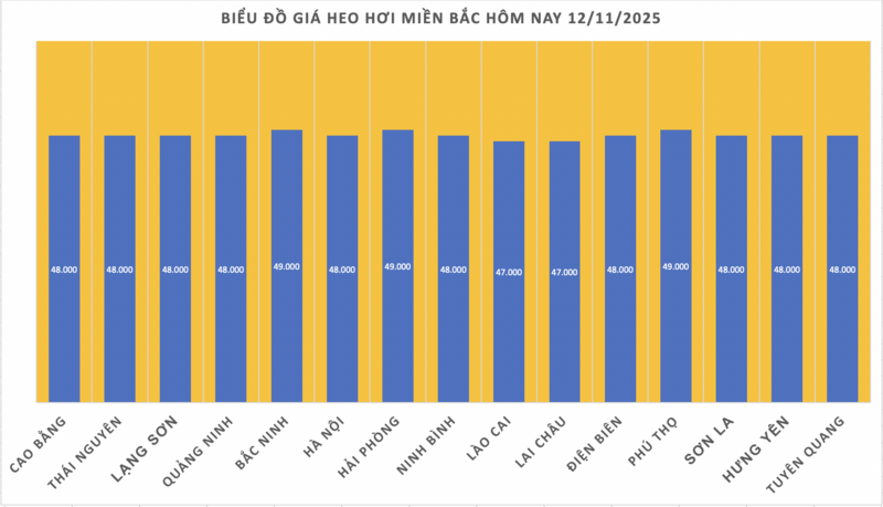 Giá heo hơi hôm nay 12/11/2025: Tiếp tục giảm nhẹ nhiều nơi - 1