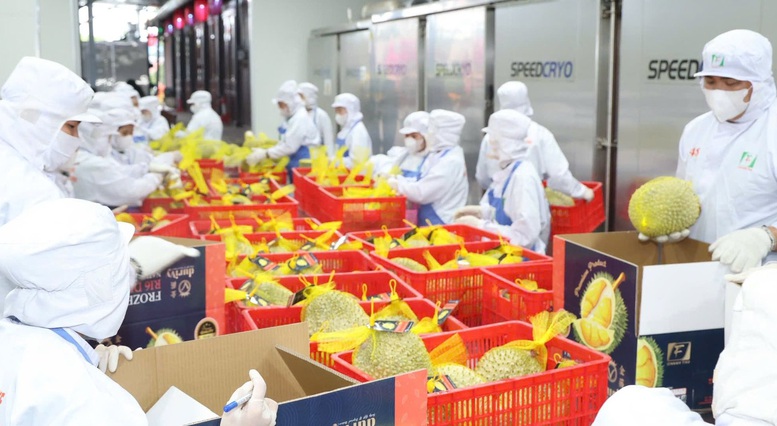 Sầu riêng, thanh long và dừa là những mặt hàng trái cây chủ lực của Việt Nam đã hoặc đang trong nhóm xuất khẩu tỷ đô - Ảnh: VGP/Đỗ Hương