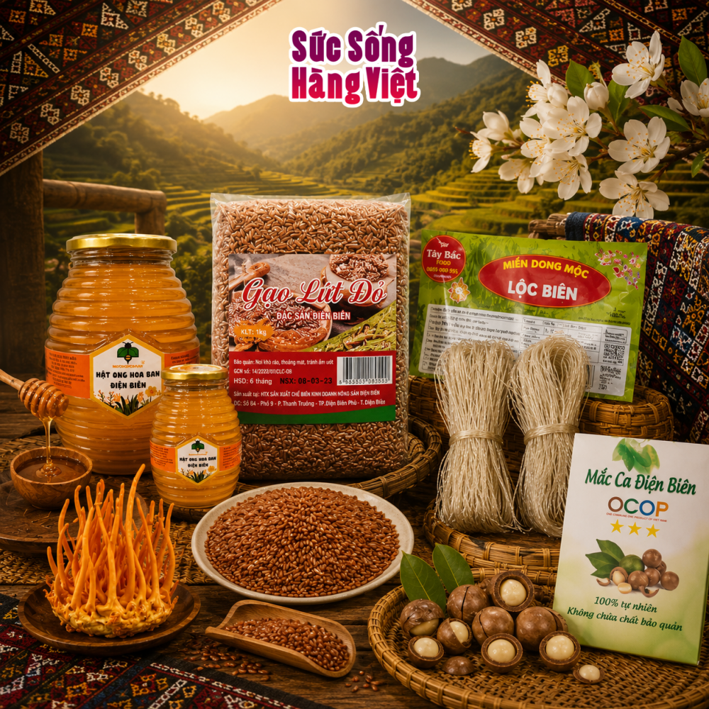 Điện Biên phố