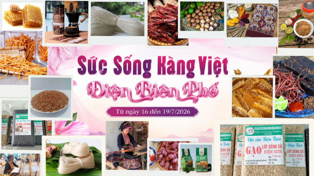 Điện Biên phố