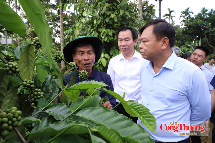 Thứ trưởng Nguyễn Hoàng Hiệp kiểm tra tình hình sản xuất tại Đắk Lắk