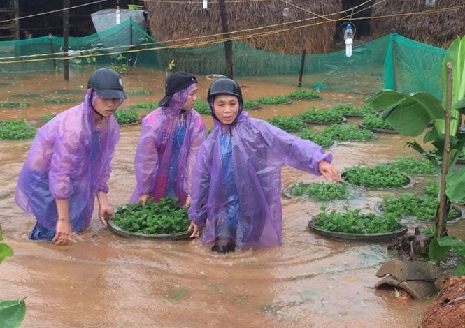 15-39-39_nnvn_2 15-39-39_nnvn_2