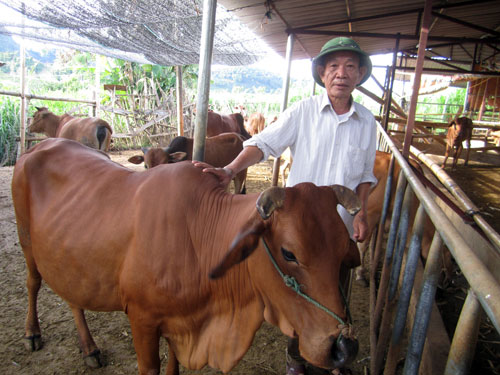 nguoi bat dat can no hoa hinh anh 1