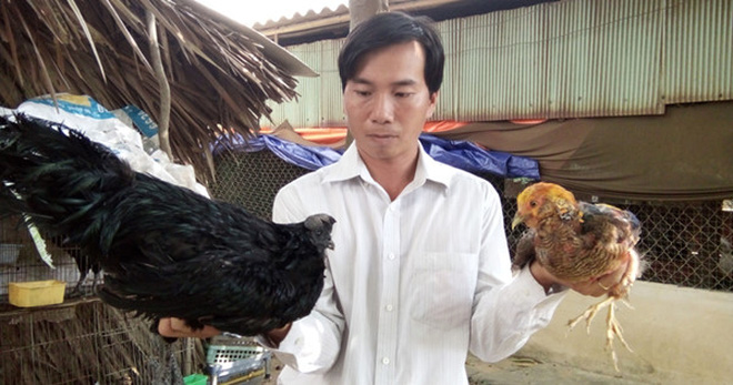 thanh ty phu o tuoi 30 nho mo hinh nuoi chim hoang da hinh anh 1