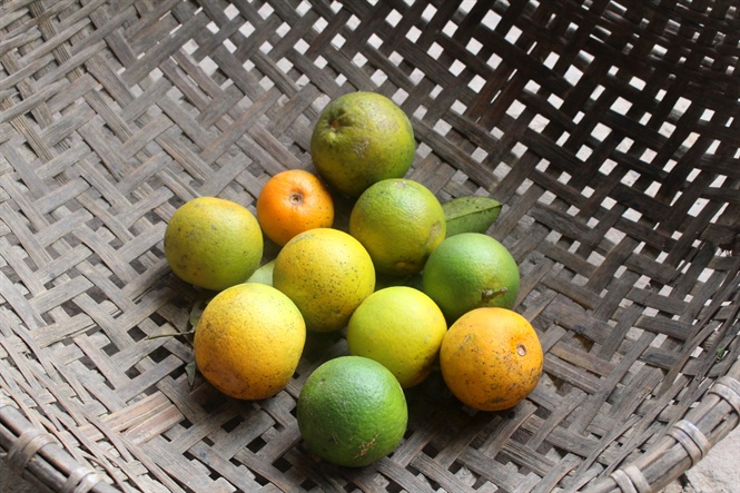 15-22-28_1 15-22-28_1