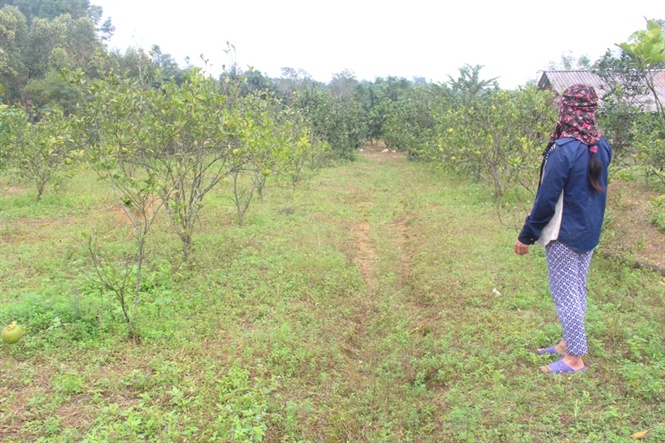 15-22-28_3 15-22-28_3