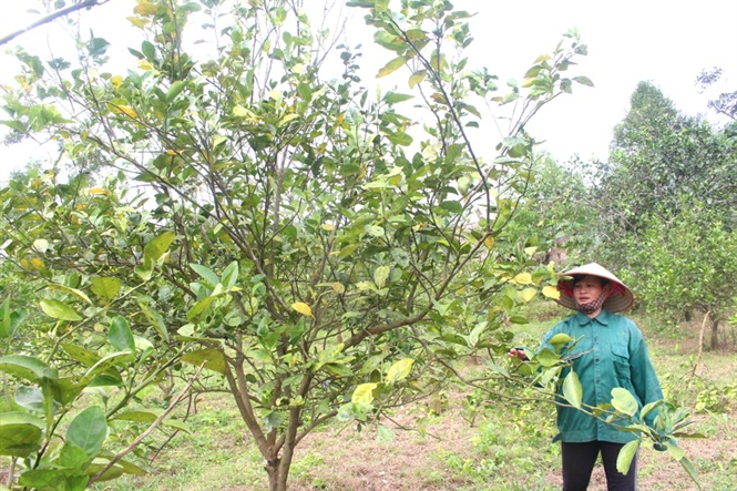 15-22-28_4 15-22-28_4