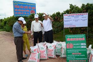 Tuyên chiến với phân bón giả