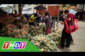 Mỹ viện trợ nông nghiệp 40 triệu USD cho Sri Lanka | THDT