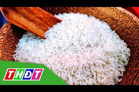 Giá gạo xuất khẩu tăng 5 USD/tấn | THDT