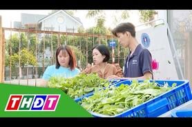 Từ sản xuất sạch đến kết nối tiêu thụ | Chuyện nông dân PGS | THDT