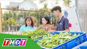 Từ sản xuất sạch đến kết nối tiêu thụ | Chuyện nông dân PGS | THDT