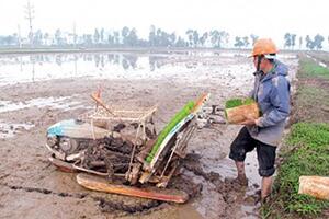 Kỹ sư trẻ chán bàn giấy về quê làm “đại điền chủ”, kiếm tiền tỷ