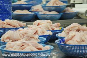 Cơ hội cho cá tra tại thị trường Trung Quốc