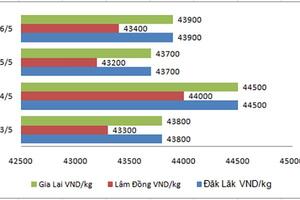 Giá nông sản hôm nay 9.5: Tồn kho cao, cà phê khó đạt 45.000 đ/tấn