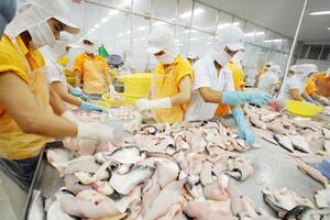 Tìm đường xuất khẩu chính ngạch vào Trung Quốc