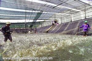 Bạc Liêu: Kêu gọi đầu tư vào khu Nông nghiệp công nghệ cao