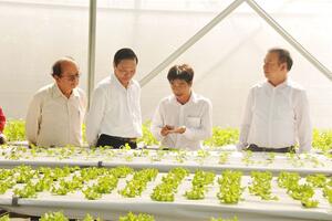 HTX nông nghiệp công nghệ cao được vay 3 tỷ đồng