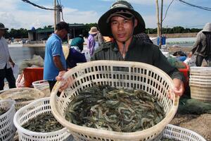 Nuôi trồng thủy sản ven biển bền vững