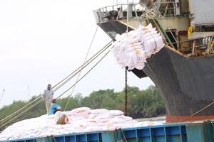 Xuất khẩu gạo tăng trở lại