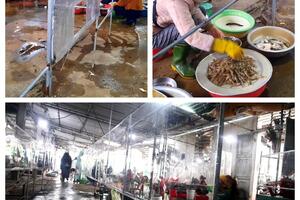 Tàu thuyền ngưng đánh bắt, hải sản khan hàng, tăng giá