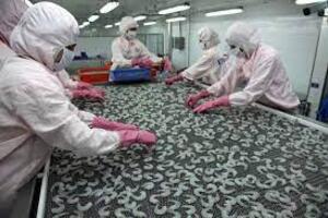 Tôm, cá xuất khẩu có thêm cơ hội thị trường
