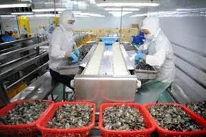 Kỳ vọng xuất khẩu thủy sản mang về 9 tỷ USD trong năm 2022