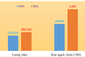 Xuất khẩu cà phê vụt sáng những tháng đầu năm