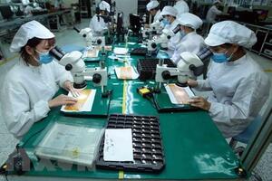 Nghiên cứu khuyến cáo của WB về kinh tế Việt Nam
