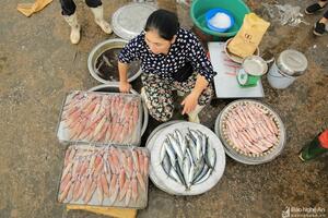Đến Cửa Lò, trải nghiệm nhịp sống làng chài Nghi Thủy