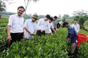 Huyện Hương Sơn đạt chuẩn nông thôn mới