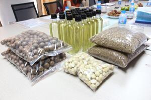 Sản xuất thành công nhiều sản phẩm từ cây mắc ca