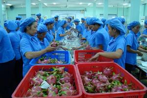 Xuất khẩu nông sản: Bộ Công Thương khuyến cáo điều gì?