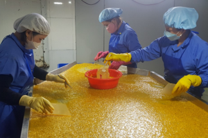 Kiểm tra liên ngành “Tháng hành động vì an toàn thực phẩm” năm 2022 trên địa bàn tỉnh Đắk Nông