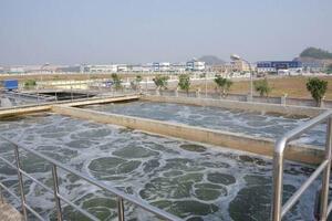 Sử dụng tảo hạt hoạt tính trong xử lý nước thải