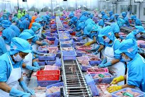 Nâng cao năng lực xuất khẩu nông, lâm, thủy sản