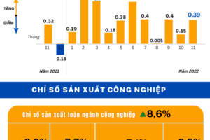 Infographic | Toàn cảnh bức tranh kinh tế Việt Nam 11 tháng đầu năm 2022