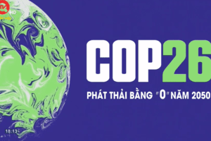 Phát triển điện khí LNG - Giải pháp giúp thực hiện hoá cam kêt tại COP26