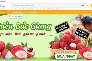 Thương mại điện tử đưa nông sản Việt vươn xa