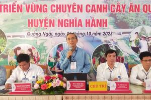 Phát triển vùng chuyên canh cây ăn quả, thuận lợi và thách thức đan xen