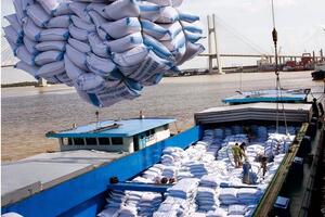 Năm 2023, xuất khẩu gạo sẽ mang về 5 tỷ USD
