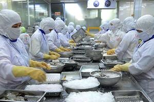 Mở rộng cơ hội cho xuất khẩu