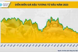 Cần làm gì khi nguồn cung đậu tương từ Mỹ bị thu hẹp?